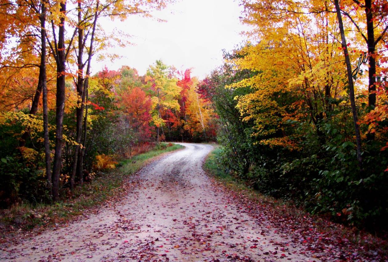 Arpin Cranberry Campground & Cabin The Heart of Wisconsin