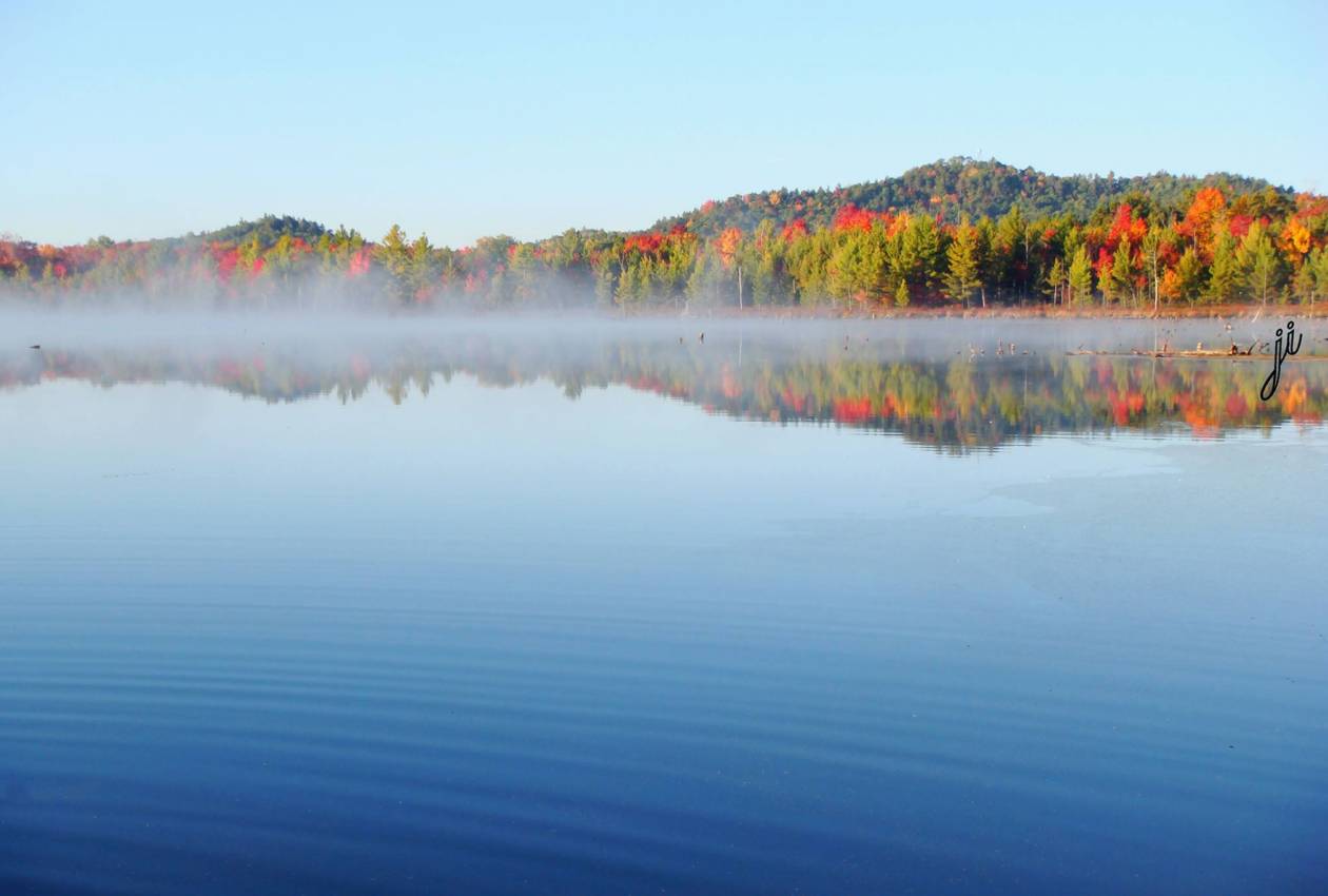 Arpin Cranberry Campground & Cabin The Heart of Wisconsin